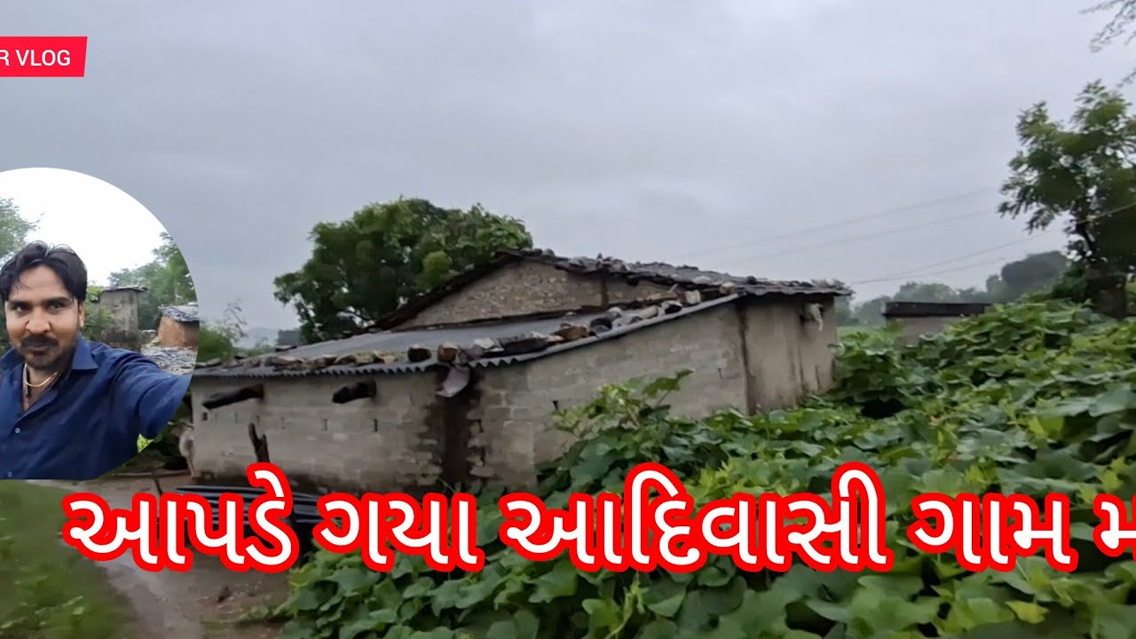 આપડે ગયા આદિવાસી ગામ માં || ગુજરાતી વલોગ #safarvlog #viral video 