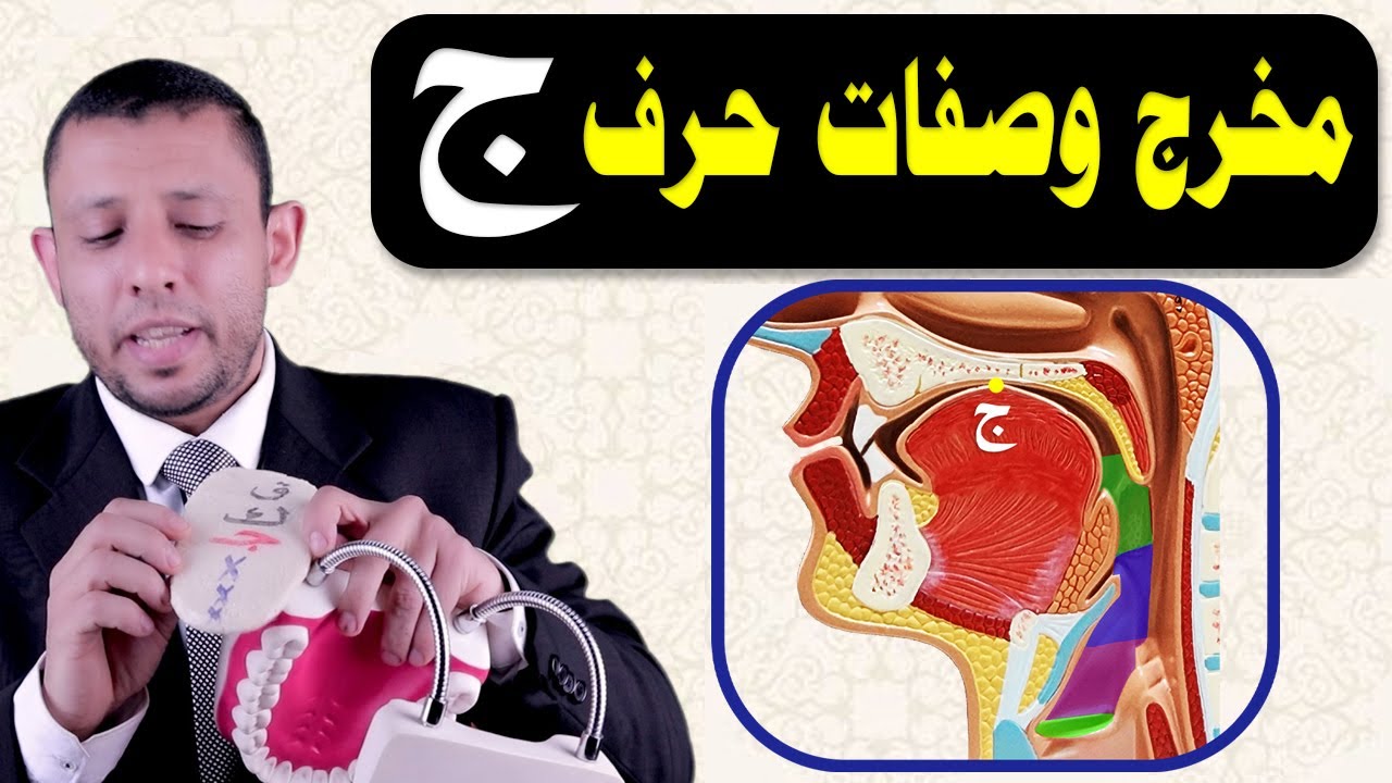 مخرج وصفات حرف الجيم بالتفصيل مع التطبيق العملي على المجسمات أول شرح عملي تعلم وأتقن الجيم