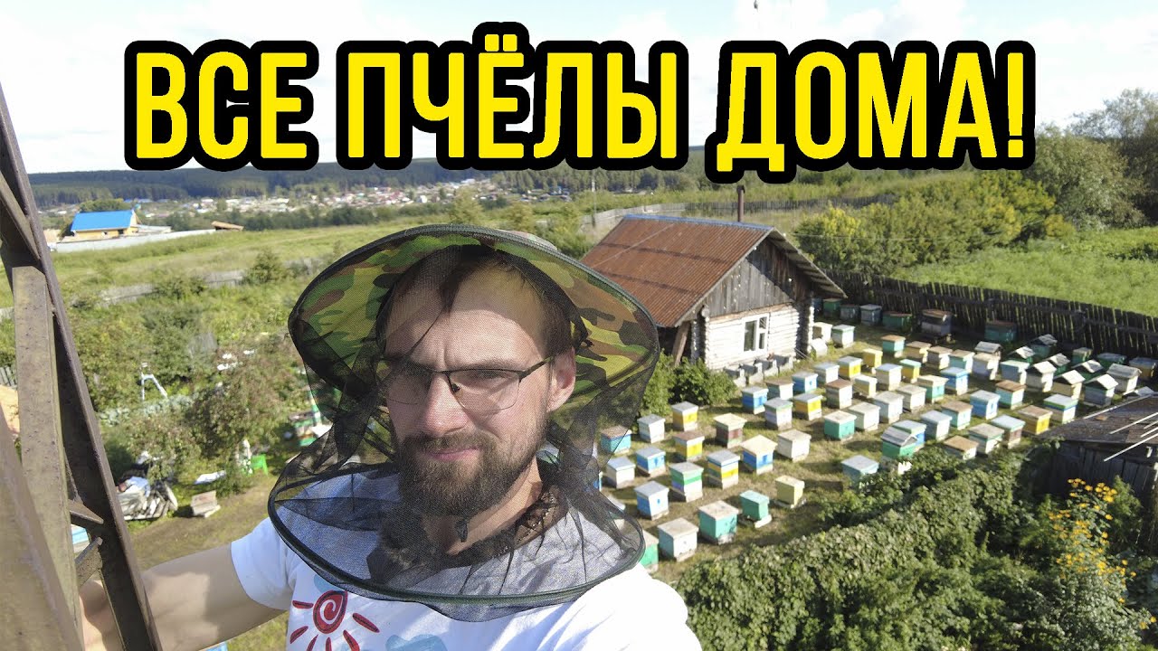 Пчёл на базу, 300+, Пасека Старчевских, Сибирь