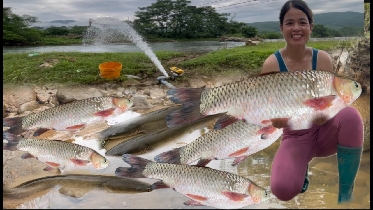Explore a wild pond filled with giant fish caught by a single mother.