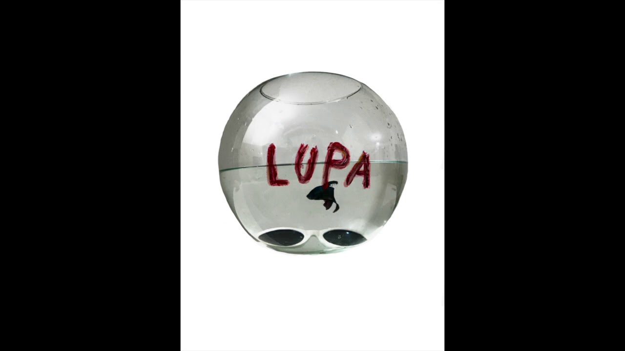 LUPA - Lupa