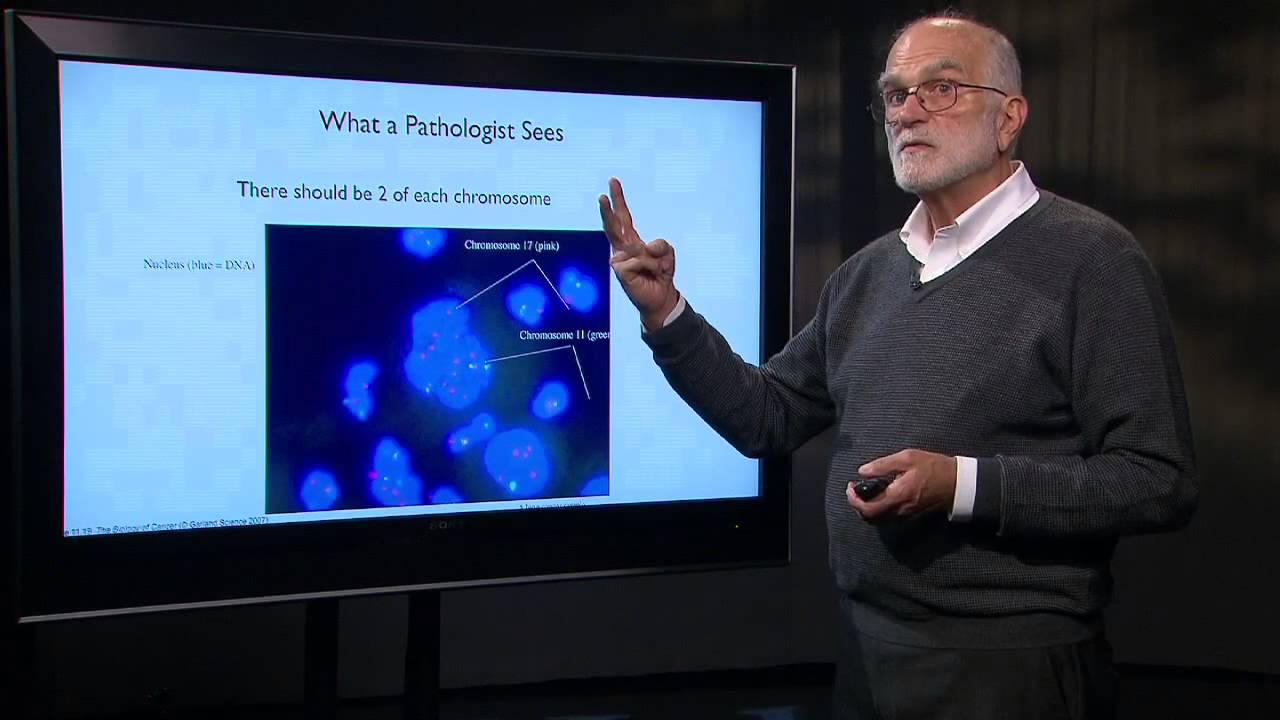 7.3 Cancer as an Evolutionary Process: Clonal Evolution