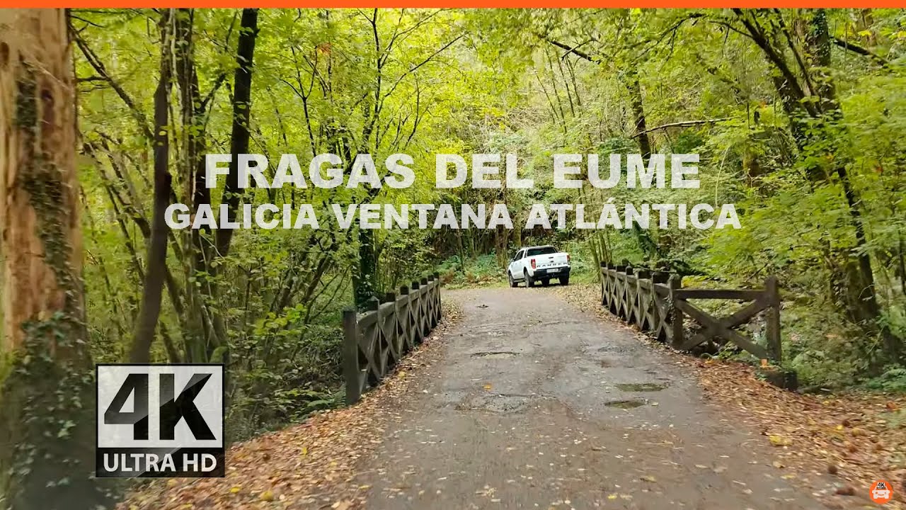 Fragas del Eume. Conduciendo. Turismo Galicia 4k.