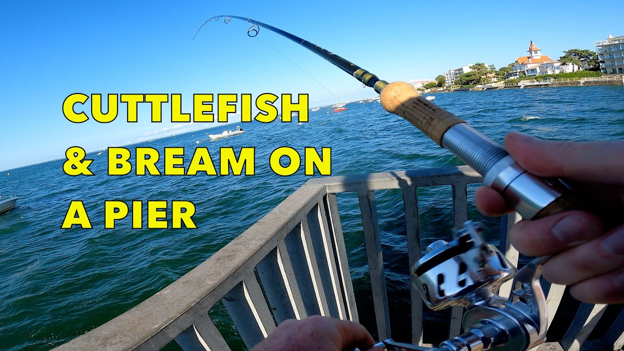 Simple Fishing Catching Bream and Cuttlefish from a French Pier, Arcachon