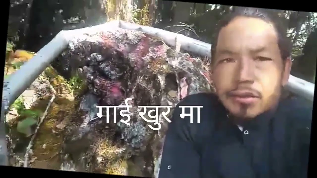 बुधि  सत्यवती को दर्शन 