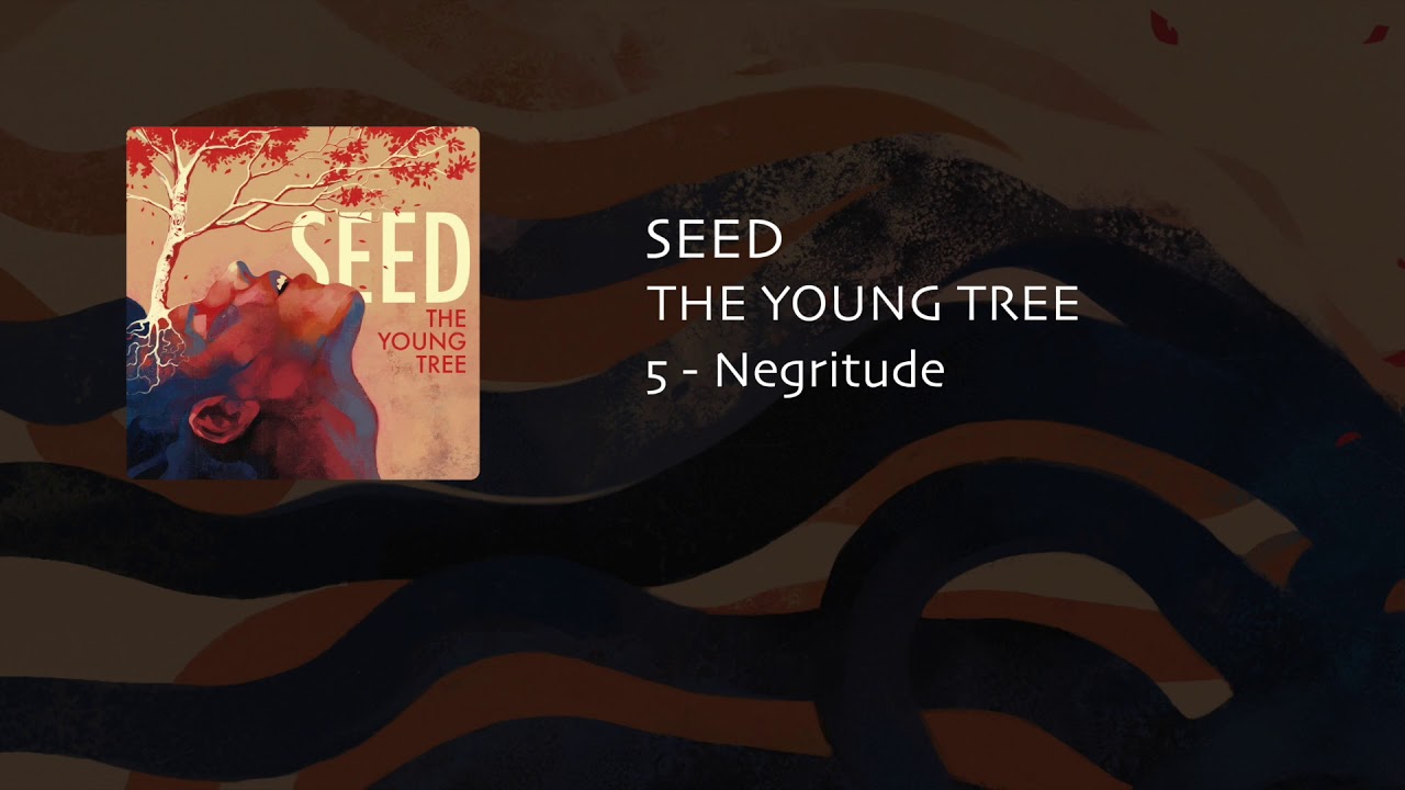 The Young Tree - Negritude