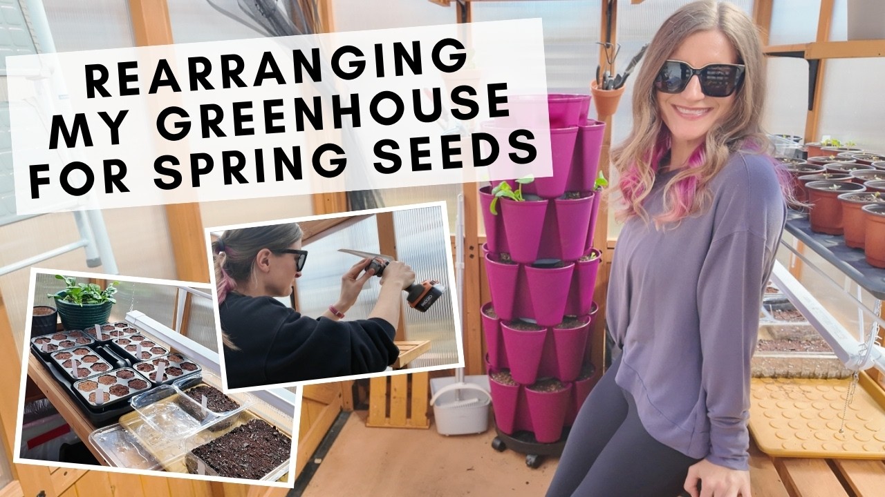Let's rearrange my Backyard Discovery greenhouse for spring seed starting!