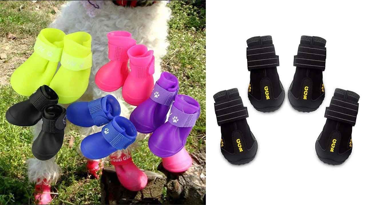 5 Best Dog Rain Boots - Dog Rain Boots Reviews 2018