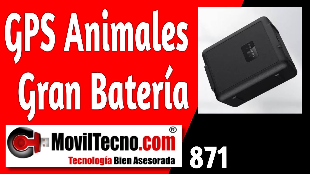✅ GPS para GANADO Vacas - Ovejas - Cabras- Caballos【🔴 MovilTecno 871 】