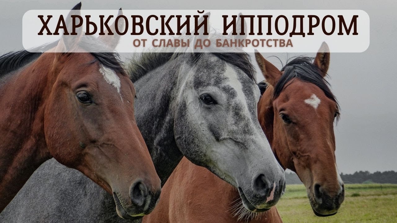 Харьковский ипподром: Заброшенный памятник истории