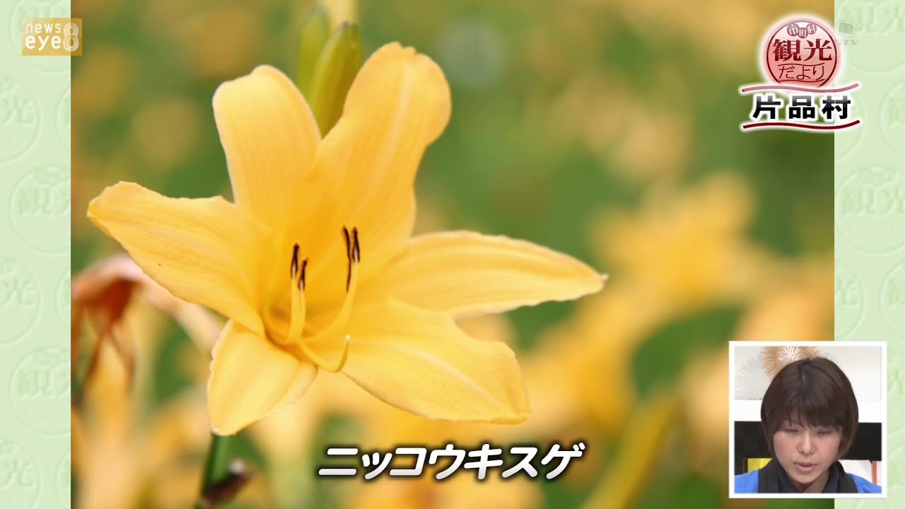 【市町村観光だより】片品村(22/07/25)