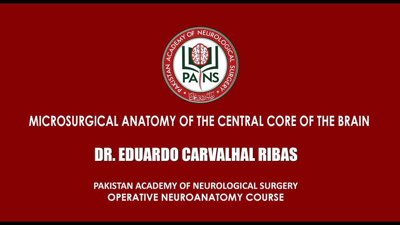 Microsurgical Anatomy of the Central Core of the Brain by Dr. Eduardo Carvalhal Ribas