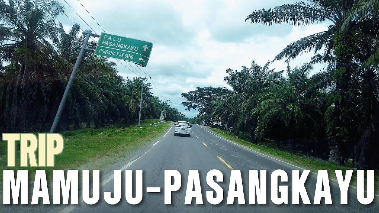TRIP MAMUJU TO PASANGKAYU | An Epic West Sulawesi Road Trip!
