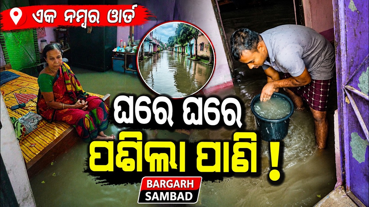 ଘରେ ଘରେ ପଶିଲା ପାଣି , ବରଗଡ଼  ଏକ ନମ୍ବର ୱାର୍ଡ #bargarh #sambad