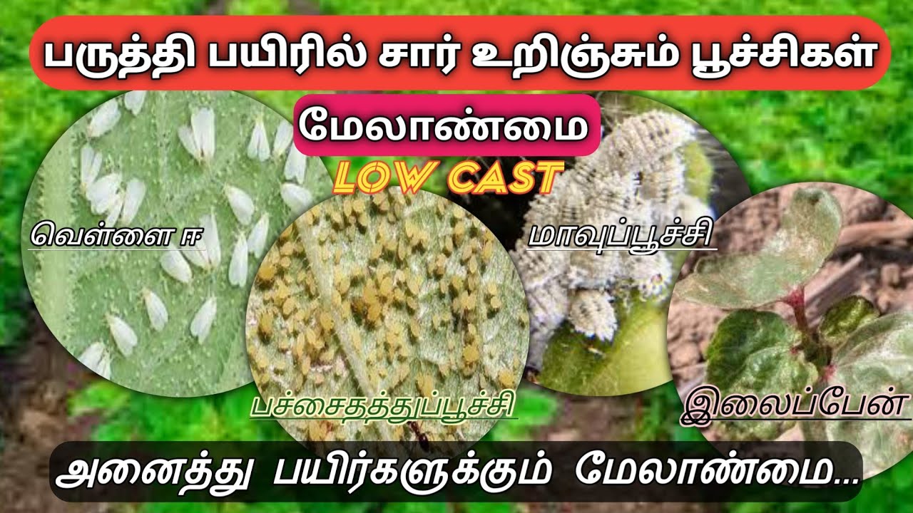 சார் உறிஞ்சும் பூச்சிகள் மேலாண்மை | Sucking pest control all crops | Tamil @vivasayapokkisham