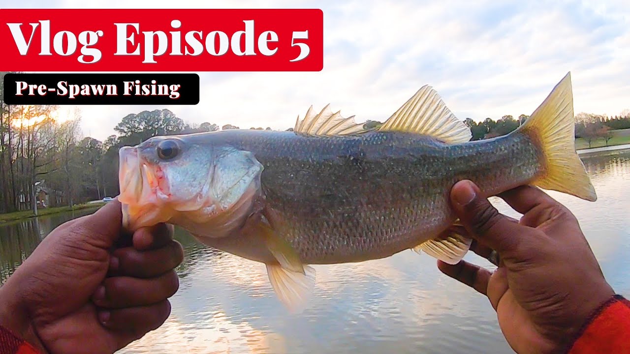 1200 Fishing: Vlog Episode 5 (PreSpawn Fishing)