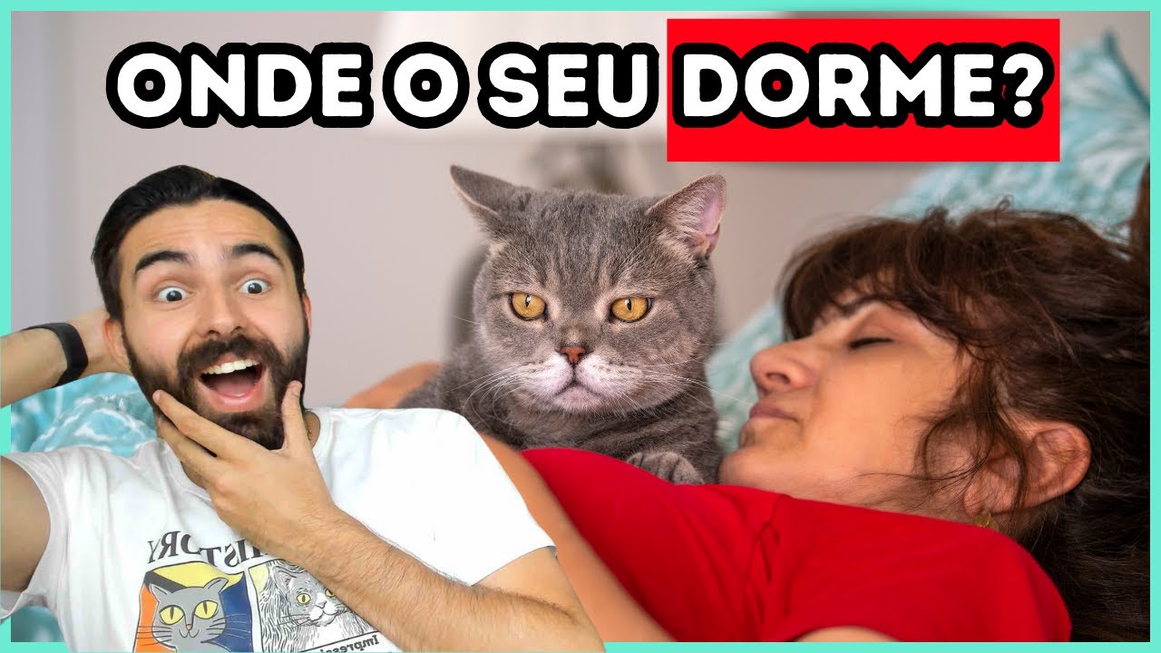 Quão Perto Seu Gato Dorme De Você? E o que Isso Revela Sobre Seu AMOR