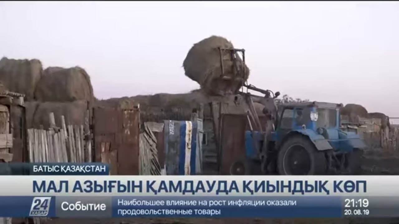 БҚО-да шөптің бағасы шарықтап тұр