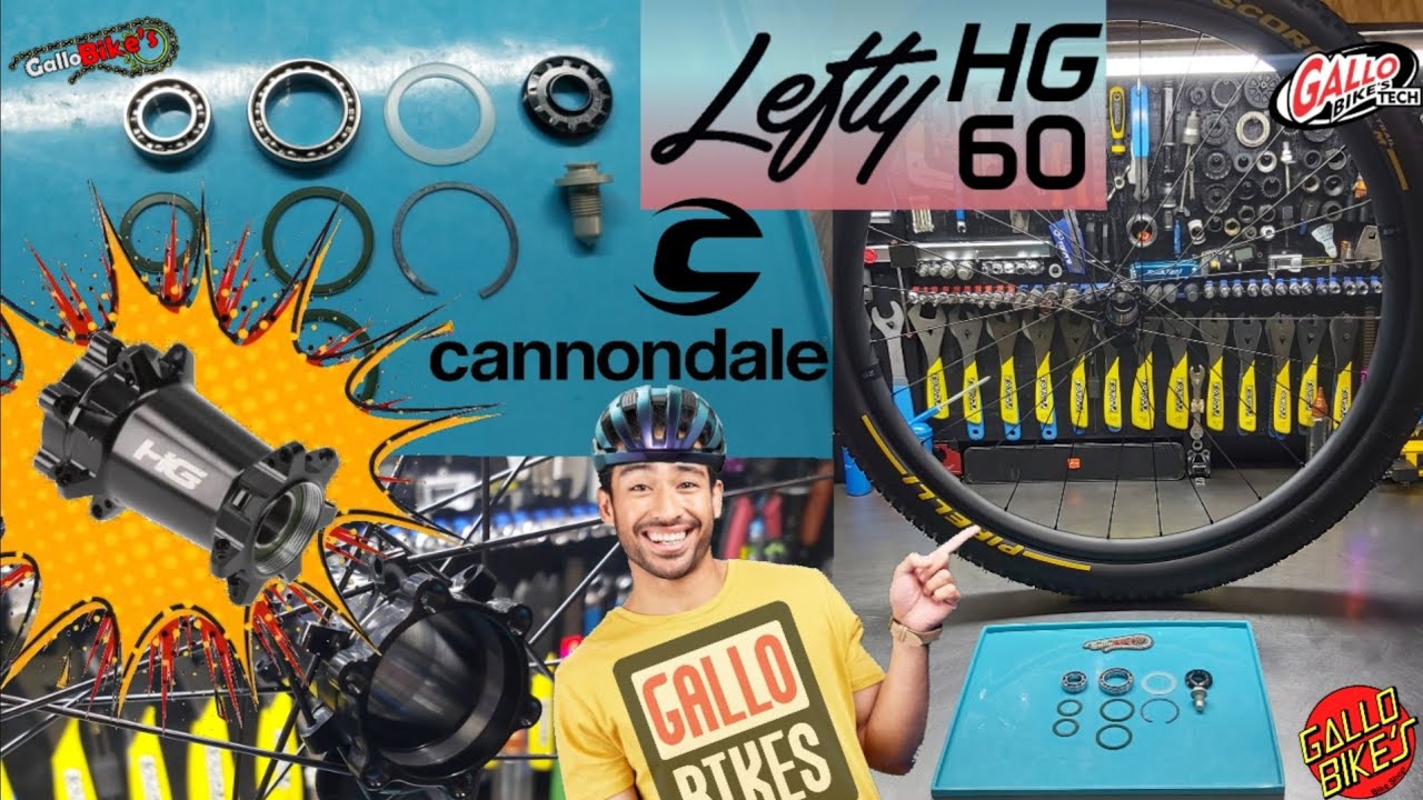 Lefty HG 60 Servicio Maza delantera Mantenimiento Buje frontal suspensión especial Service Rear Hub
