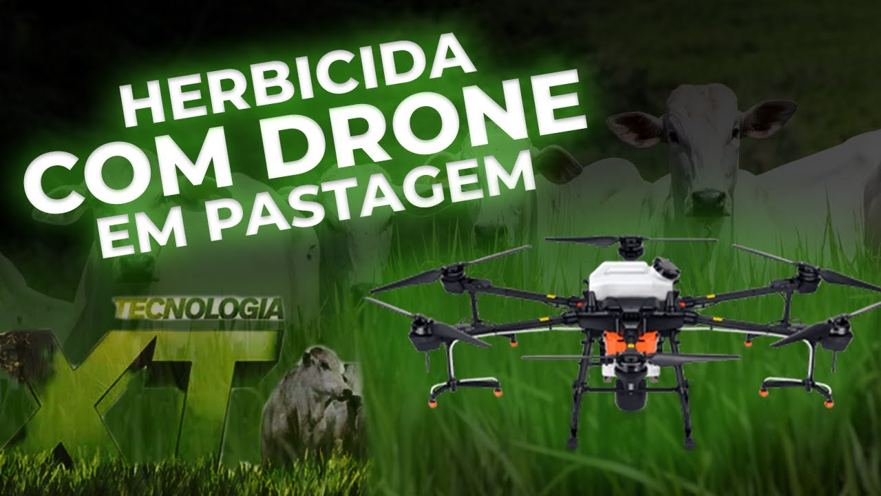 Pulverização de HERBICIDA com DRONE em PASTAGEM - DJI AGRAS T20