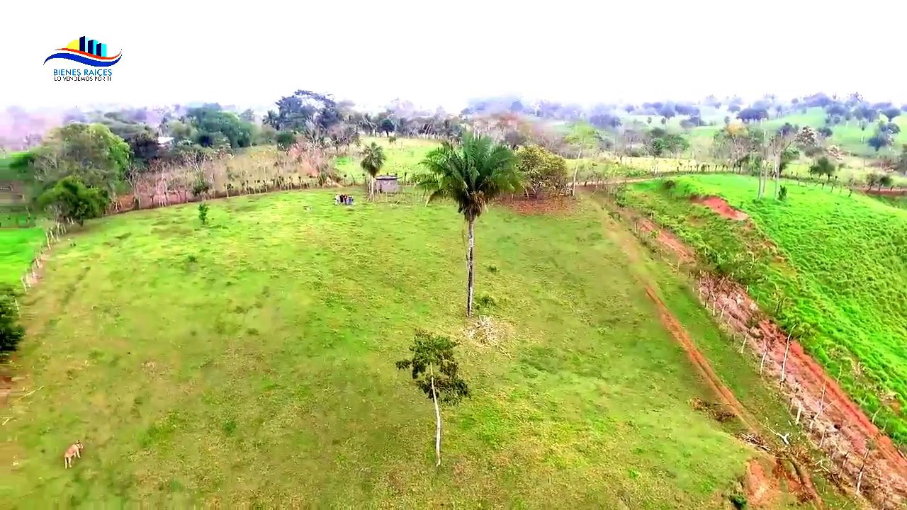 🌳39 HECTARIAS CHIAPAS, 22KM DE REFORMA🐴RANCHO🔥🔥