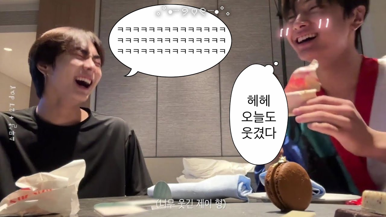 [엔하이픈/제이&정원] 야옹즈 모음집