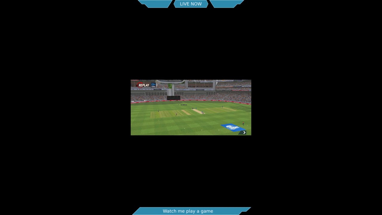 RC CRICKET