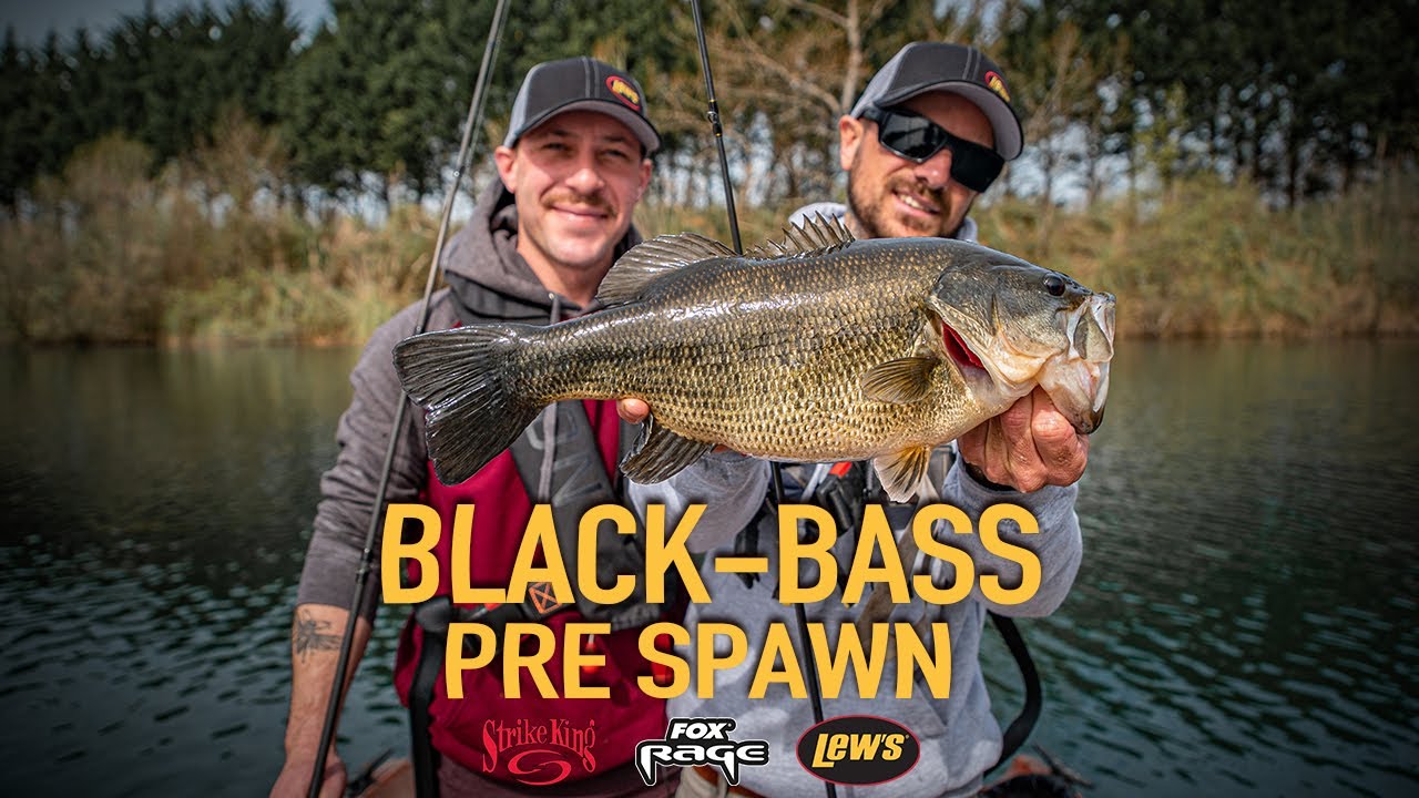 BLACK-BASS EN PRE-SPAWN - LEW'S FRANCE