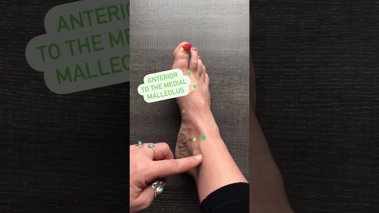 Acupuncture Points Location Liver 1 to Liver 4 #acupuncturepoints