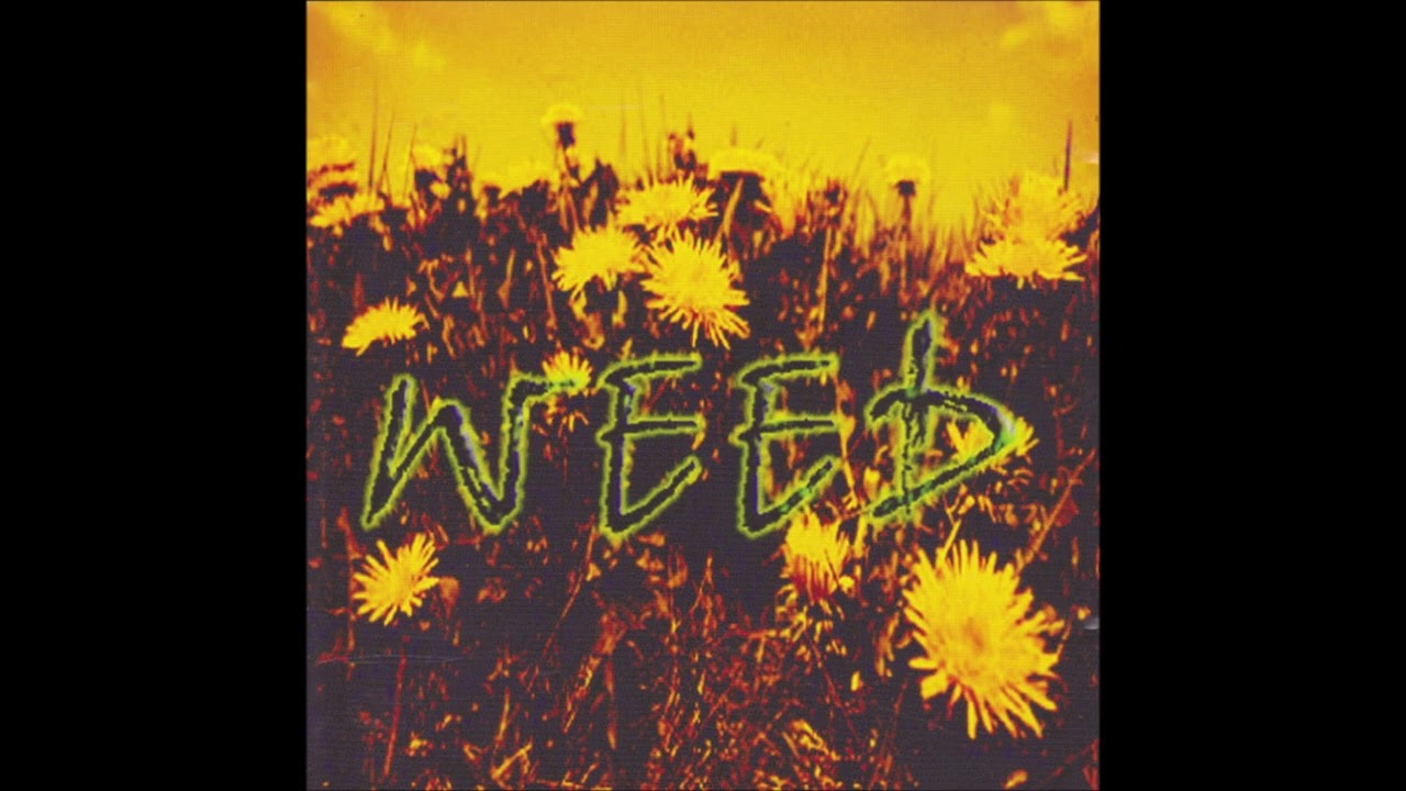 Weed - Take Care (Crossover Metal from Germany)