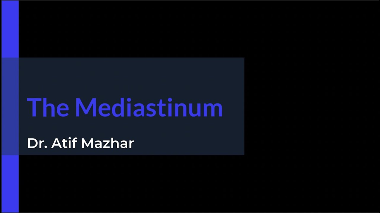 The Mediastinum