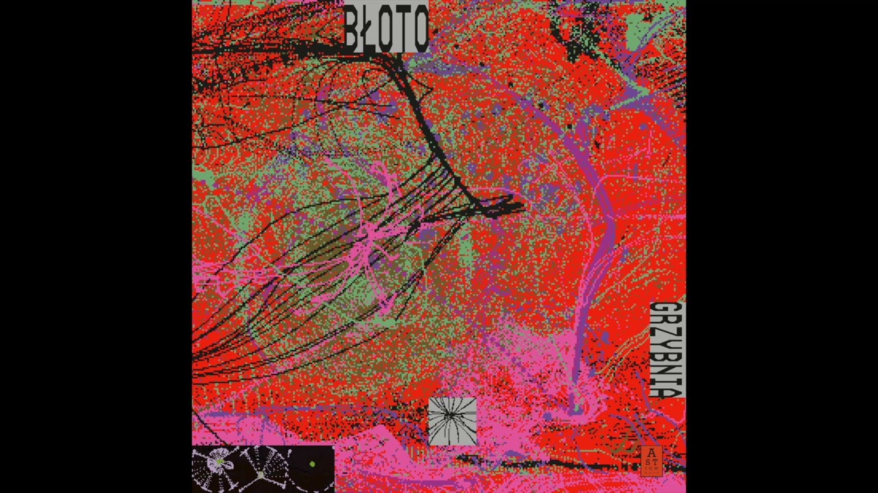 Błoto - Boczniak