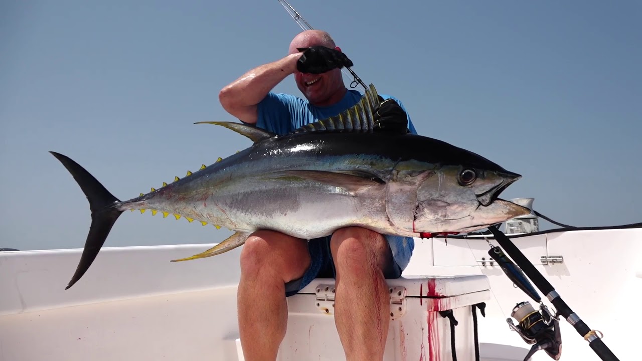 TOPWATER YELLOWFIN TUNA - MUSCAT, OMAN 2017 (PT2)