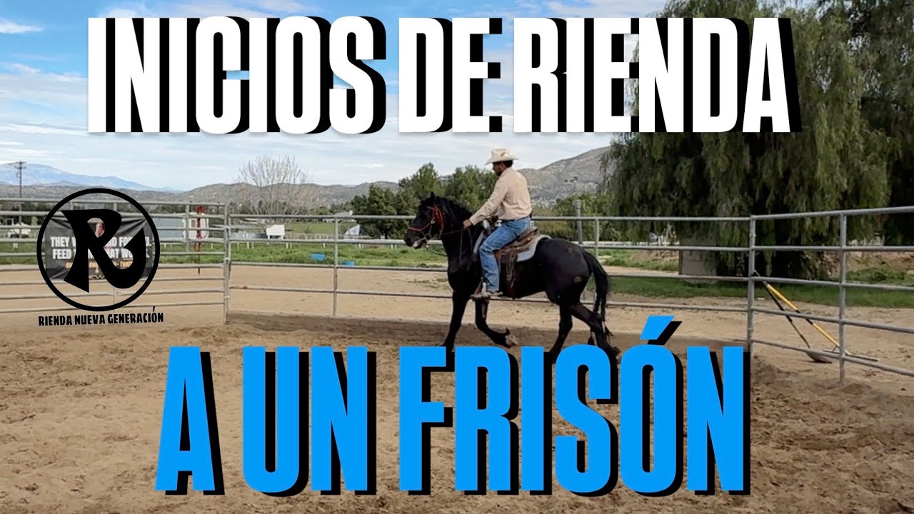 Como Iniciar  A La Rienda Un Caballo Para El Baile 