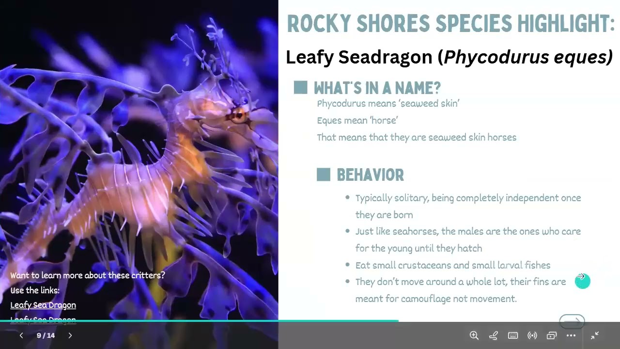 2.5 Coastal & Brackish Ecosystem