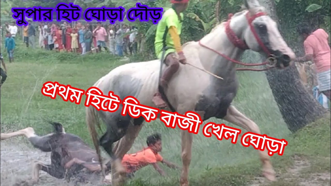 গোপাল নগরের 🐎 ঘোড়া দৌড় 🏃 প্রথম বাজীতে ঘোড়া ডিক বাজী খেল