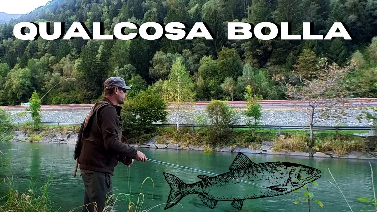 MOSCA SECCA MICIDIALE⚡- ve la mostro in pesca🎣