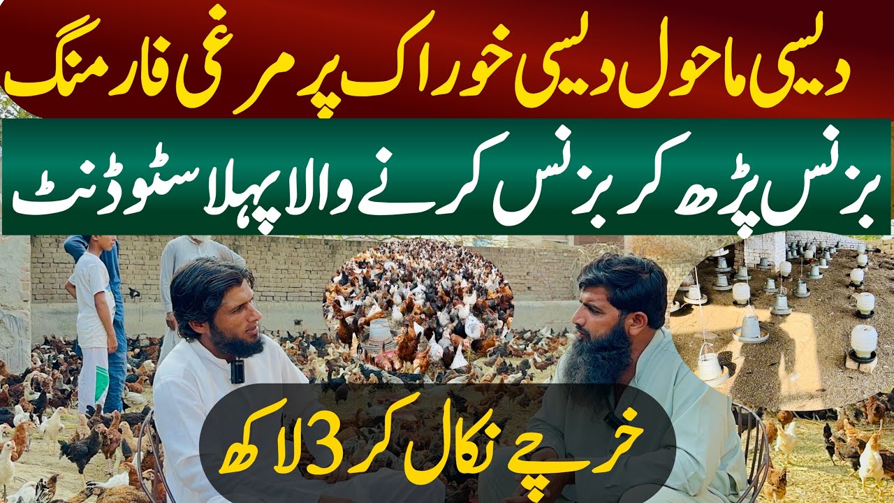 Golden Misri Farming Business For Winter in pakistan