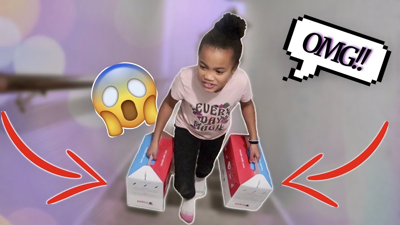 SURPRISING OUR 8 YEAR OLD DAUGHTER WITH GUINEA PIGS FOR CHRISTMAS!!