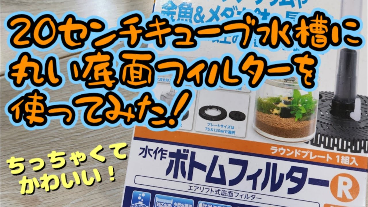 水作『ボトムフィルターR』を20センチキューブ『ハイタイプ』水槽で使ってみた！