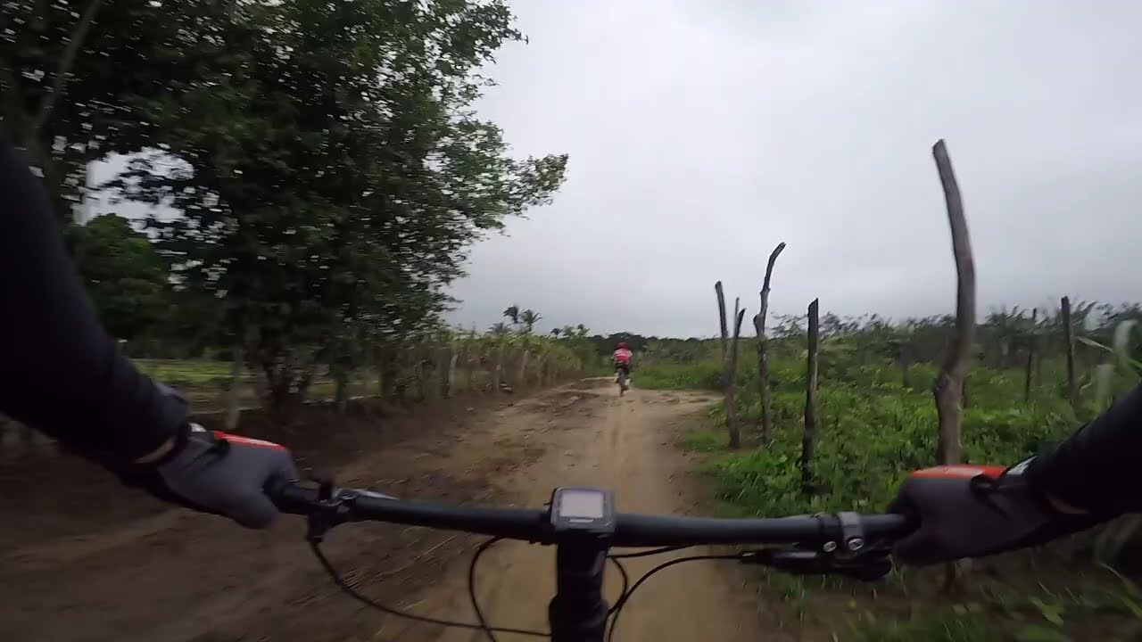Pedal de Domingo   Pitanga   Tabocas   Cinturão Verde