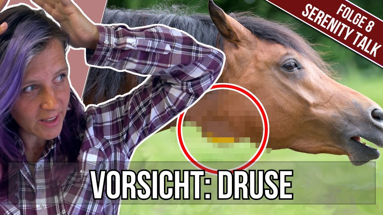 Druse! harmlos oder furchtbare Seuche?