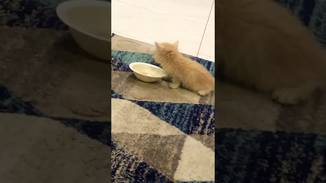 Drinking soup🥰🥰