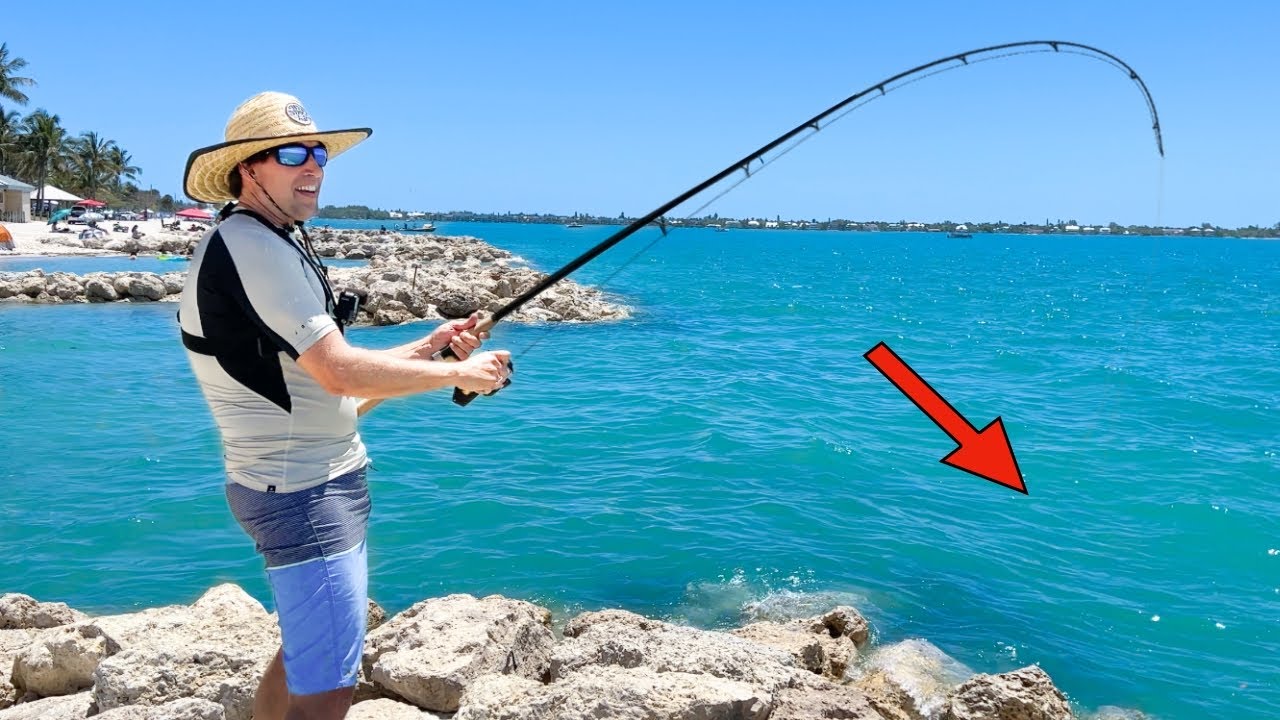 Shark fishing Sanibel Causeway I  Best fishing spot