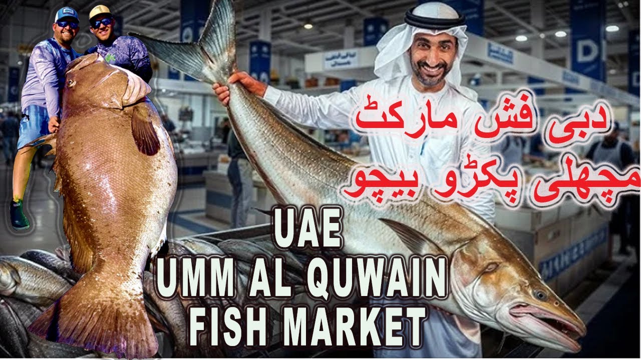 UAE  Umm Al Quwain  Fish Market  Near Sea Catch Sale