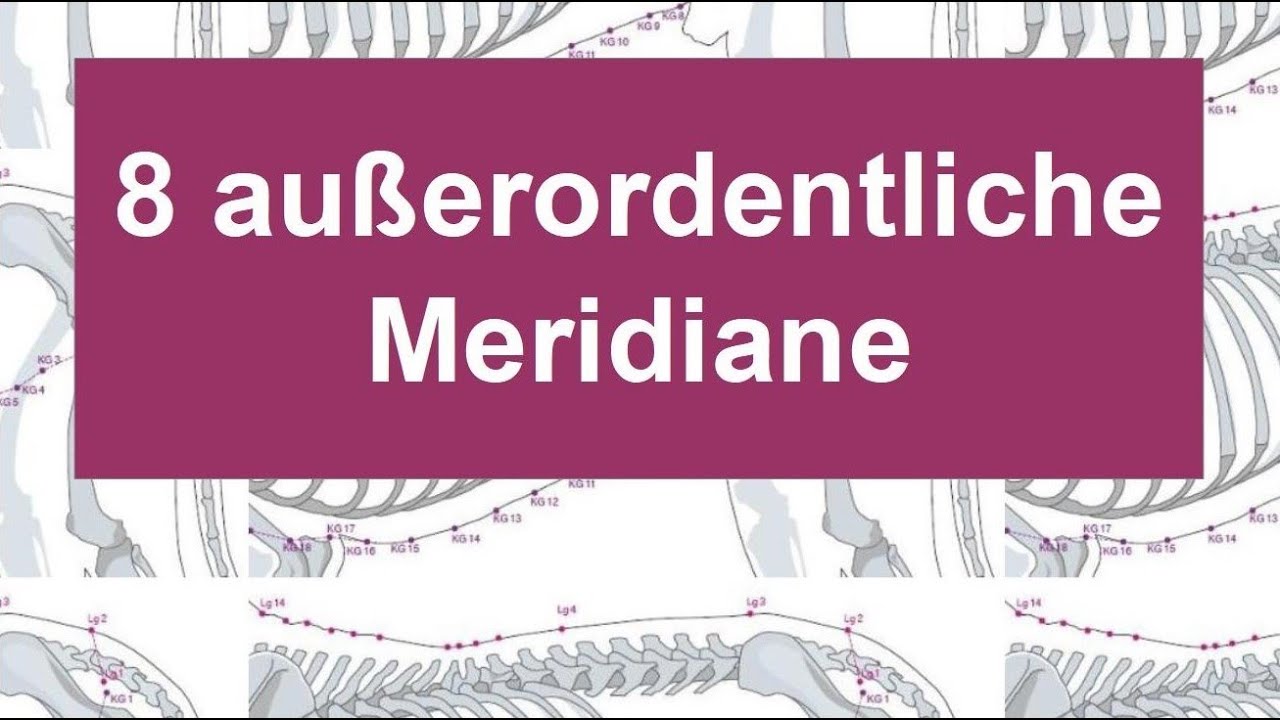 Außerordentliche Meridiane in der Akupunktur von Pferden und Hunden