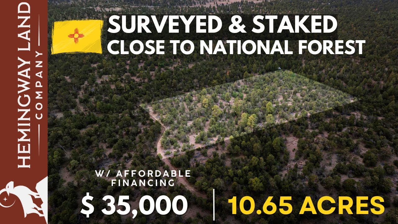 New Mexico Land For Sale – 10.65 acres near the Cibola National Forest