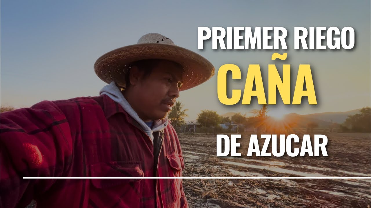 Llegó la hora de dar el primer riego