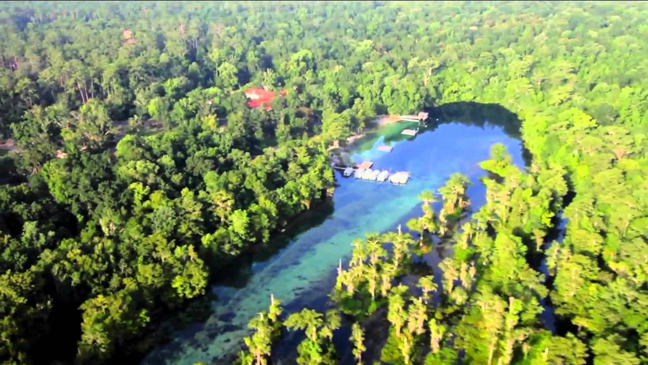 Visit Wakulla - Wakulla Springs