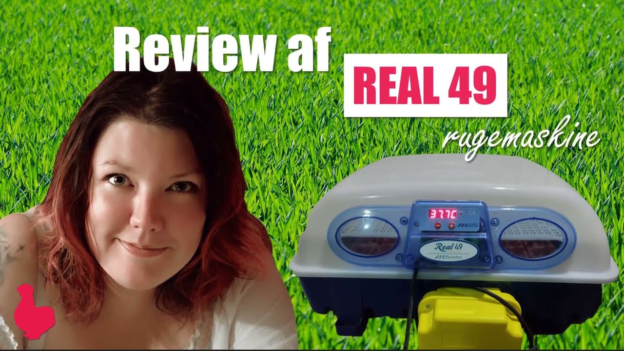 Review af Real 49 rugemaskine